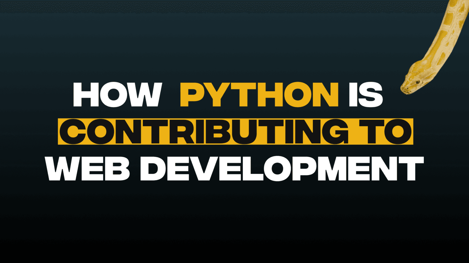 How Python is Contributing to Web Development